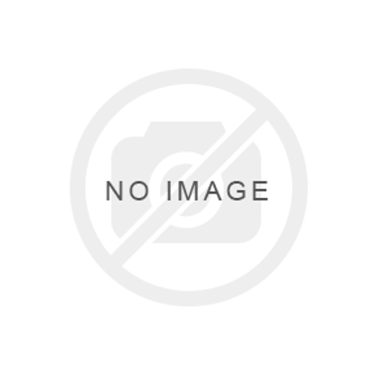 Picture of Youth Polo